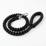 TEMP AI placeholder - Shock-Absorbing Bungee Leash