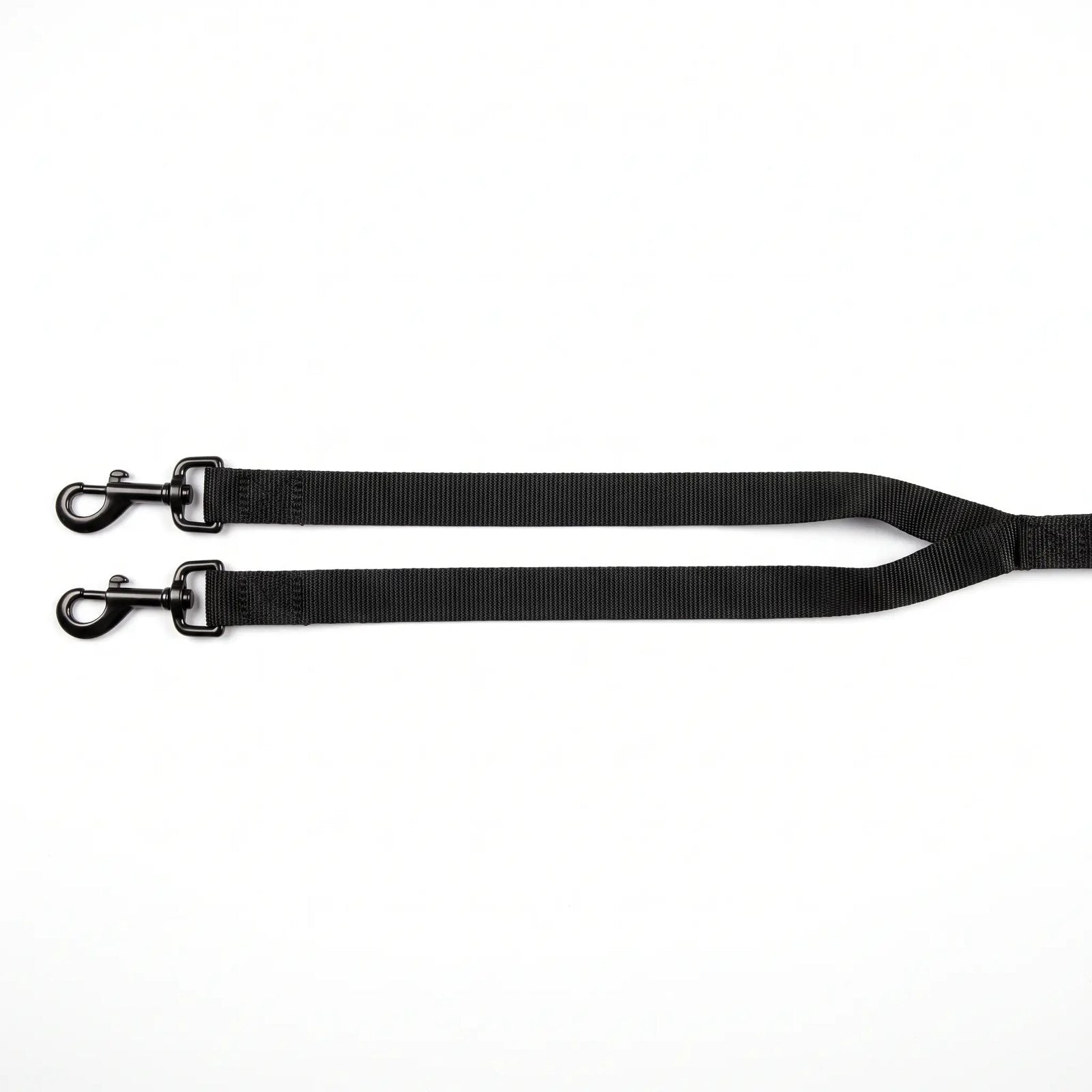 TEMP AI placeholder - Double Leash — Walk Two Dogs, One Hand