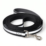 TEMP AI placeholder - Reflective Nylon Leash